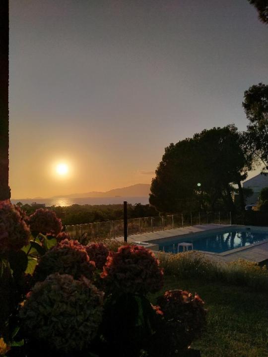 Corsicadream Arone Superbe Appartement Dans Villa, Vue Panoramique Mer, Piscine, Proche Porticcio Pietrosella Kültér fotó